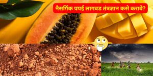How-to-do-Natural-Papaya-Cultivation-Technology-naturekrushi.png