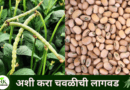 Plant cowpea like this naturekrushi.png