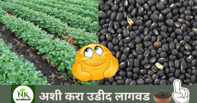 Udid lagvad in Marathi naturekrushi.png