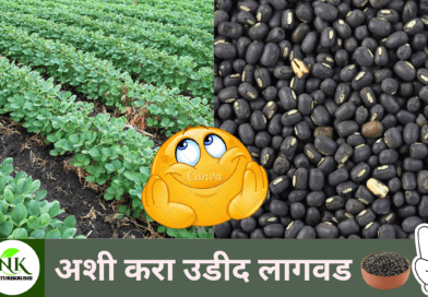 Udid lagvad in Marathi naturekrushi.png