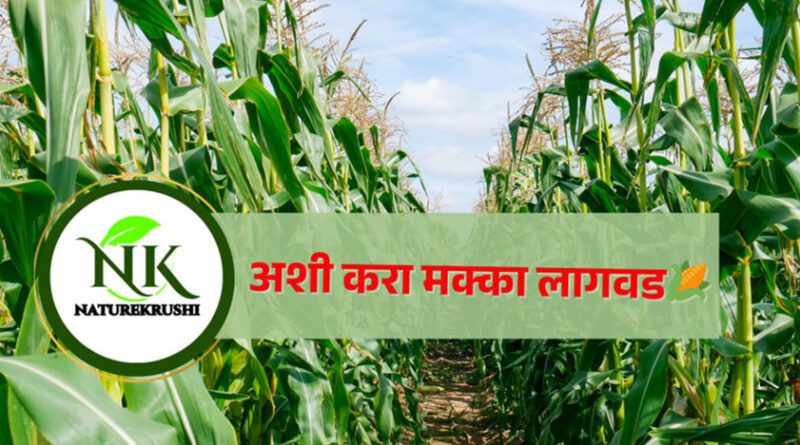 Mka-lagvad-in-Marathi-naturekrushi.png