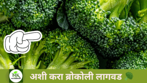 ब्रोकली-लावण्याचे-योग्य-पद्धती-व-प्रकार.png